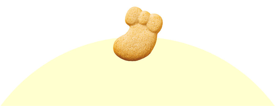 �N�I���e�B�g�b�v