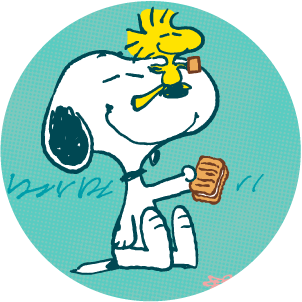 �X�k�[�s�[ �V���K�[�o�^�[�̖�