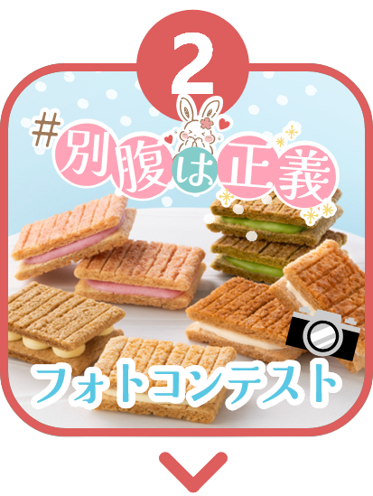 フォトコンテスト