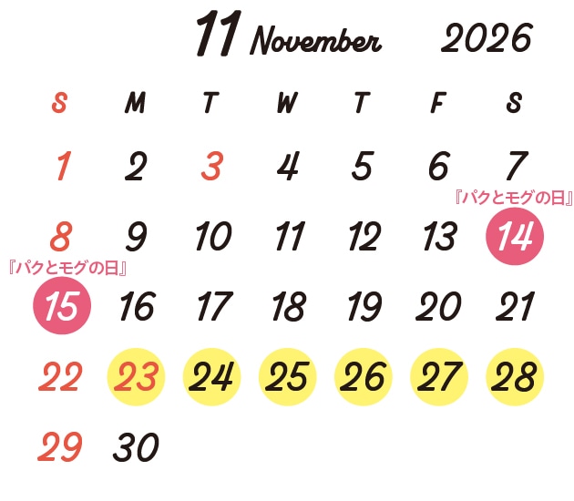 11��