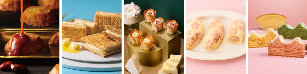 2025�H�~�̂������߃Z�b�g