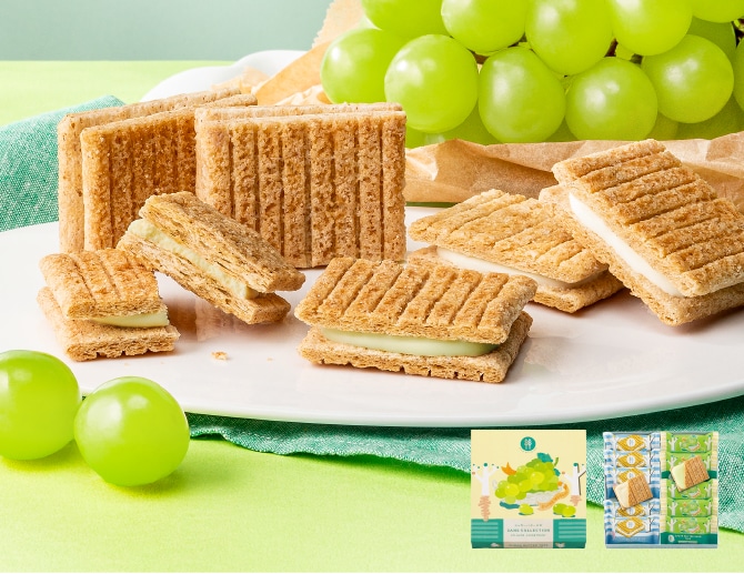 �V���K�[�o�^�[�̖�