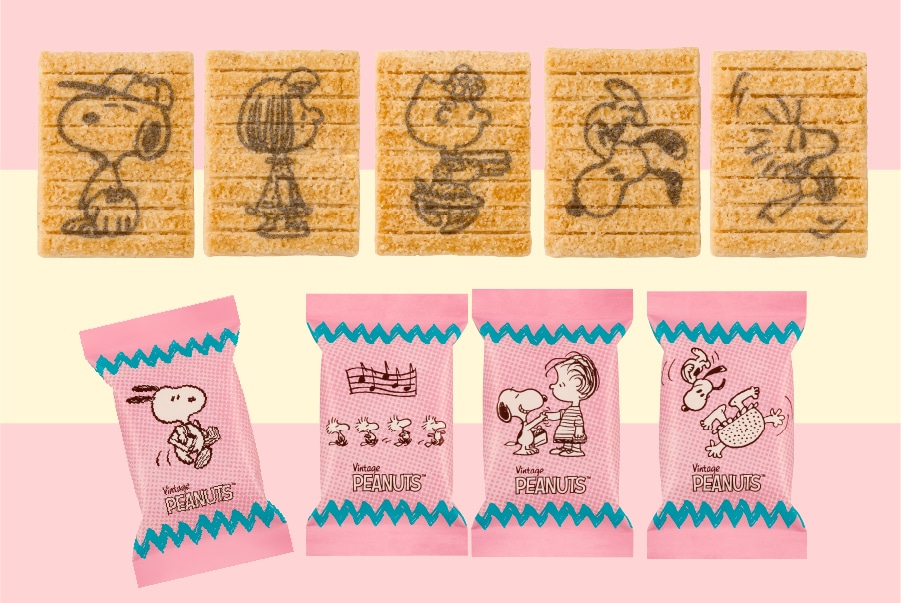 �V���A�����n�p���P�[�L