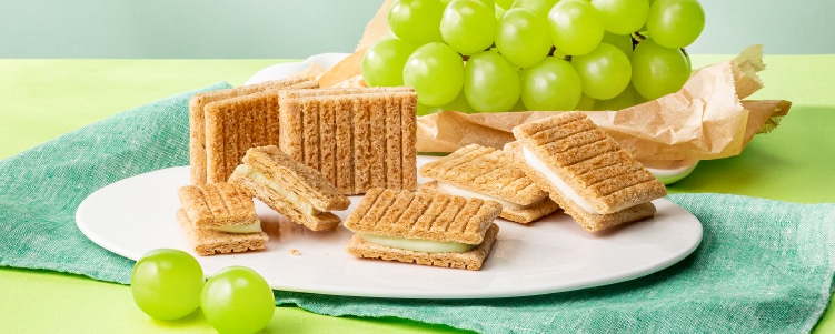 �T���h�R���N�V����