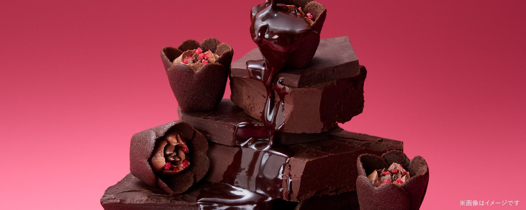 �A�b�v���o�^�[�L��������