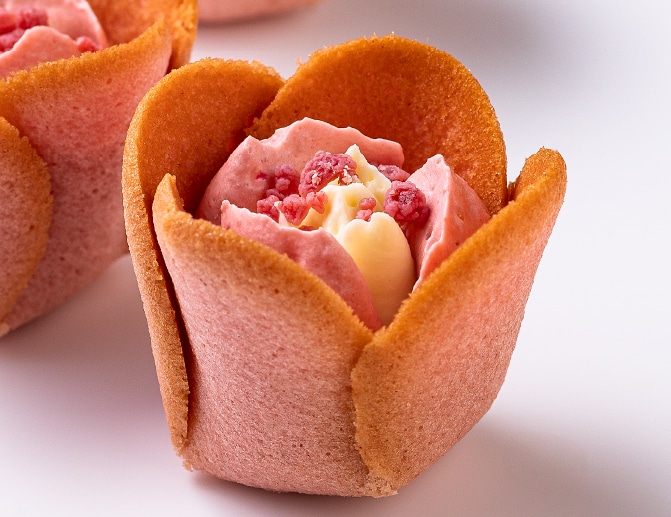 �o�����^�C���̃M�t�g�ɂ�������