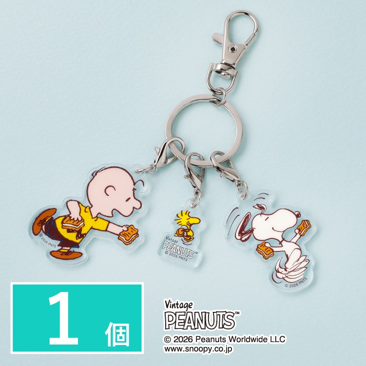 �X�k�[�s�[ �V���K�[�o�^�[�̖� �A�N�����L�[�z���_�[�@1��