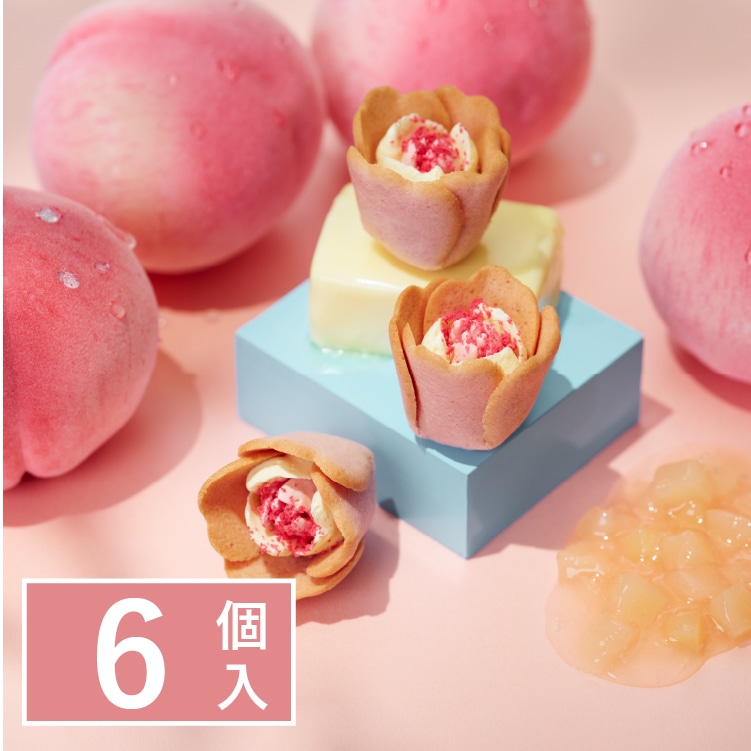 �`���[���b�v���[�Y �����o�^�[�@6��