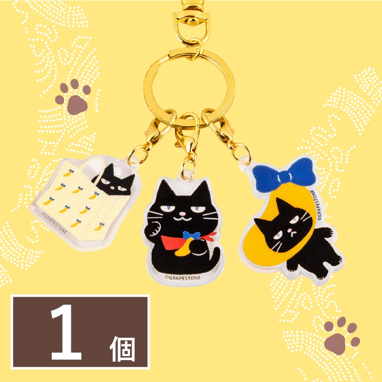 �����΂ȓނԂɂ��  �A�N�����L�[�z���_�[�@ 1��